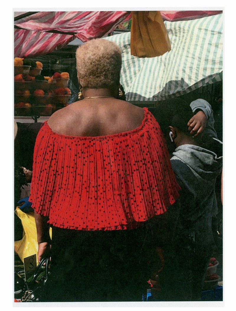 marievalognes_obersvations_67