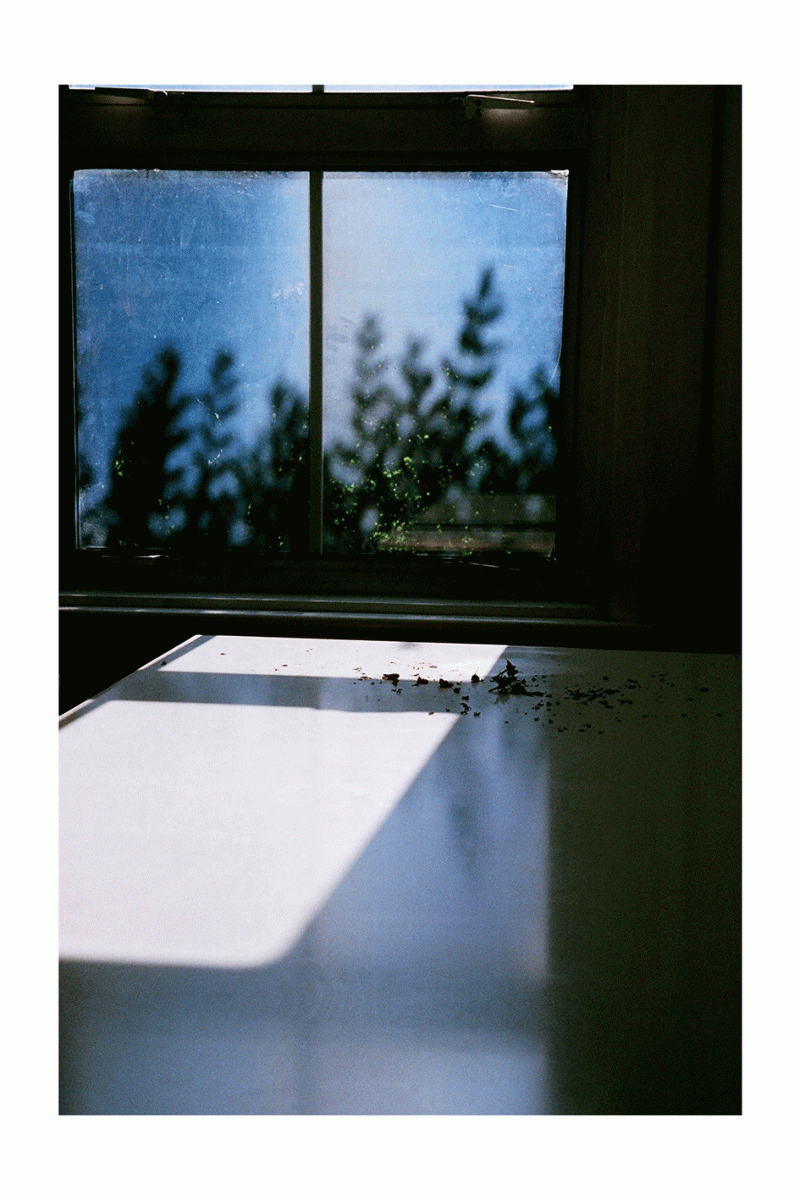 marie_valognes_142