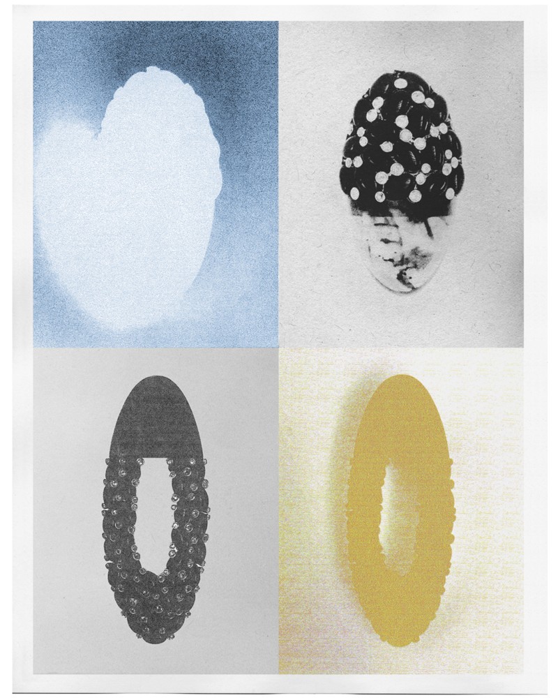 marie_valognes_-stilllife_2