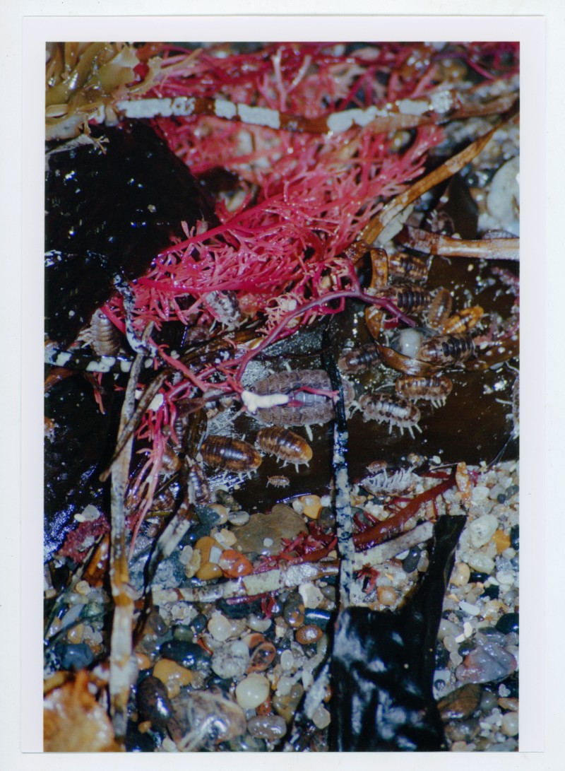 tempeteaprestempete_srgb