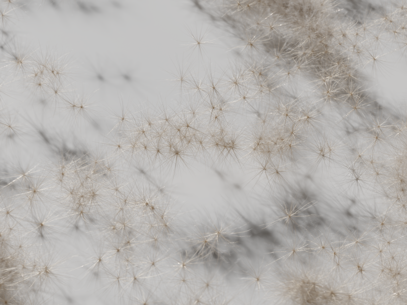 still_02