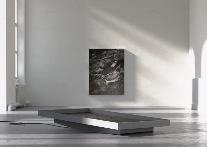 portfolio_0008-copie