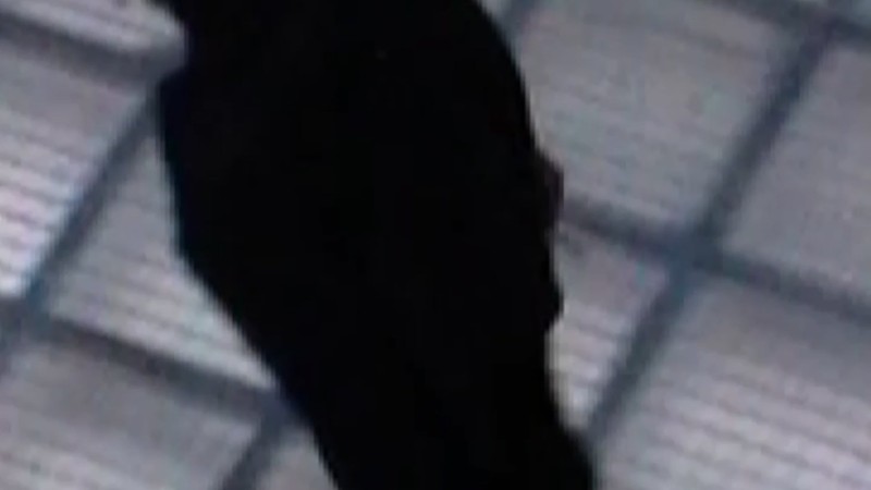 MM6