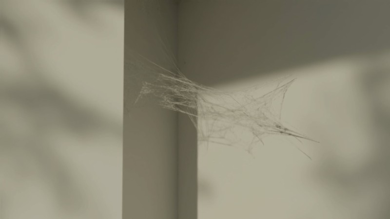 COLLABORATION with PIERRE ROUSSEAU