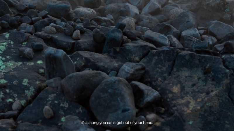 Orlando by Nelson Beer