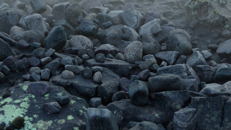 Orlando by Nelson Beer