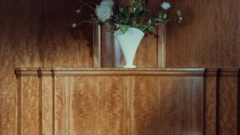 Zara  X Studio Mary Lennox